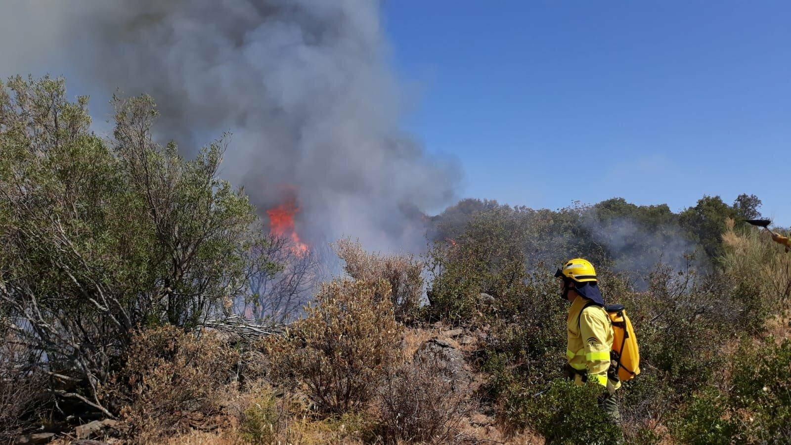 Un efectivo del Plan Infoca actúa en el incendio de Villaviciosa de Córdoba.