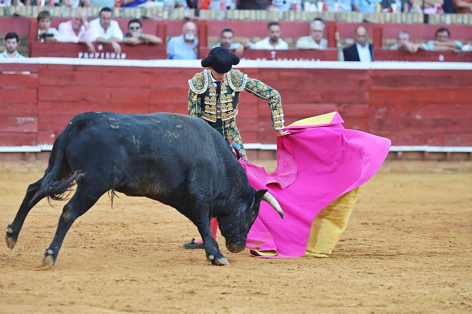 Toros La Merced 2024 Novillada con picadores(