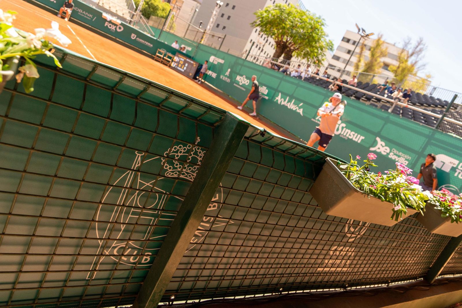 Buse - Taberner (7).jpg