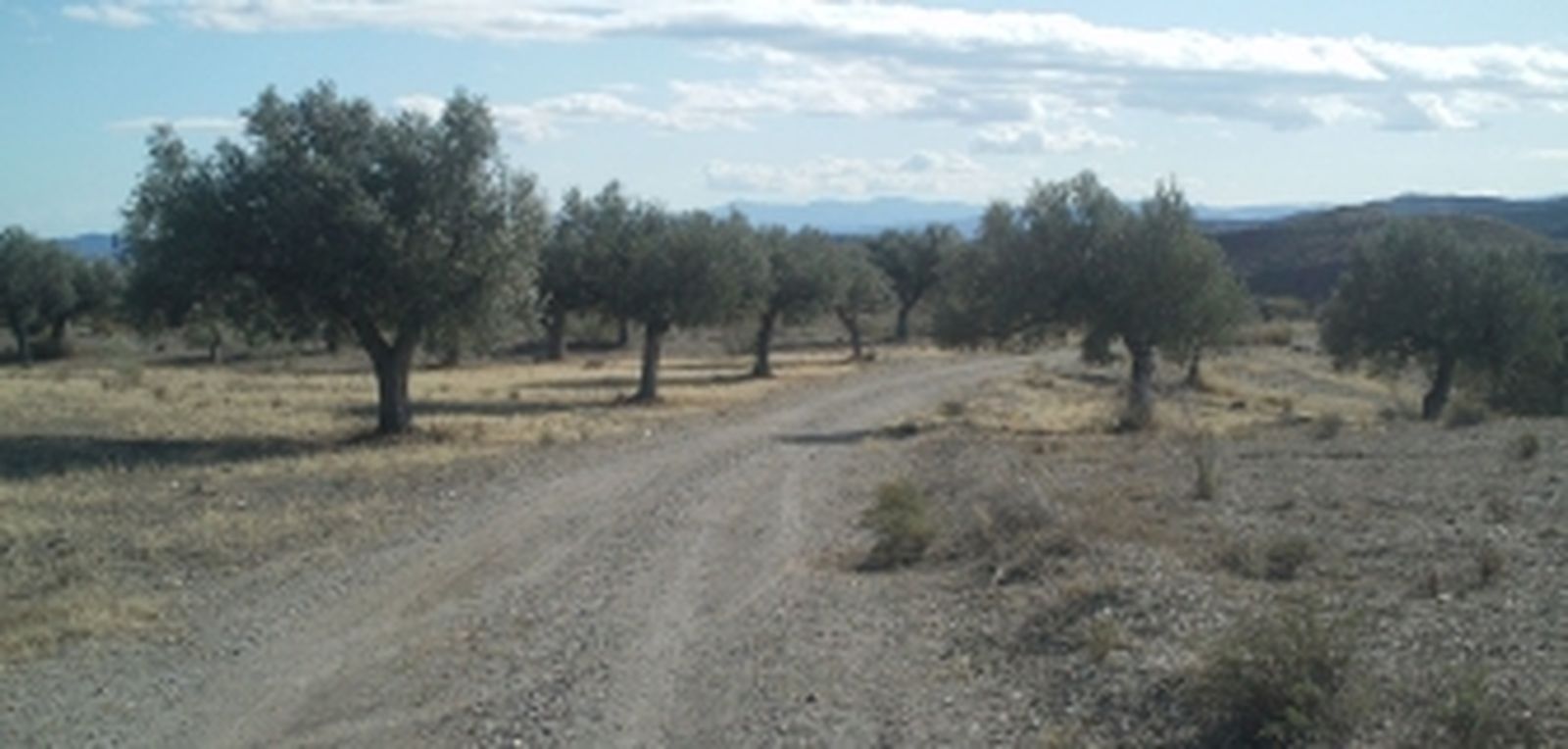 Las Junta mejorará casi 2 kilómetros de cuatro caminos rurales en Taberno