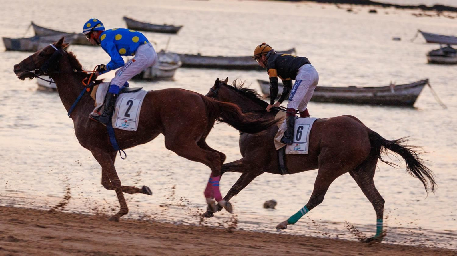Última jornada de las Carreras de Caballos en Sanlúcar
