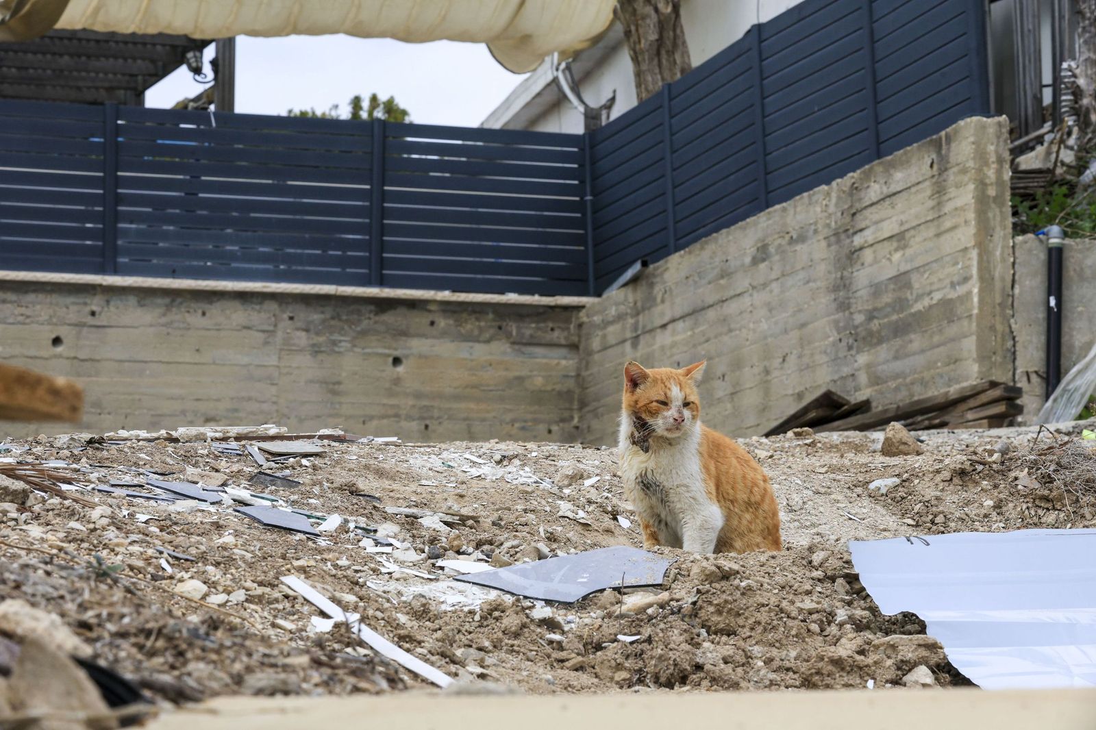 Galería gráfica: Entre el dolor, los israelíes víctimas de Irán defienden una "guerra justificada"