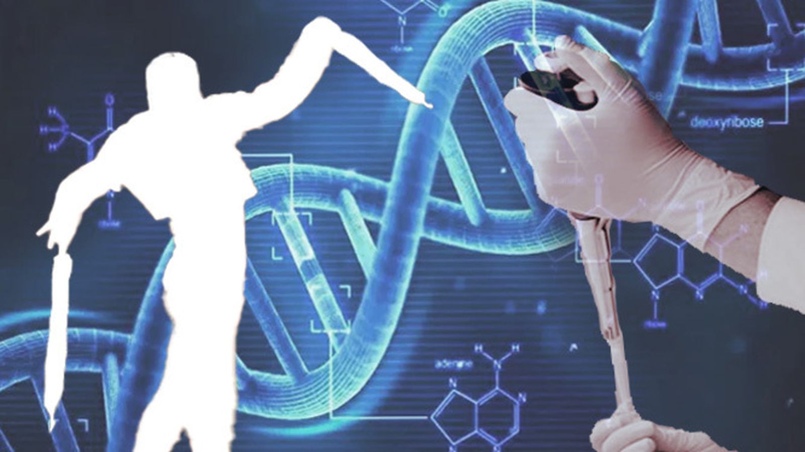 Reconocida la paternidad de un banderillero sevillano sobre una hija.