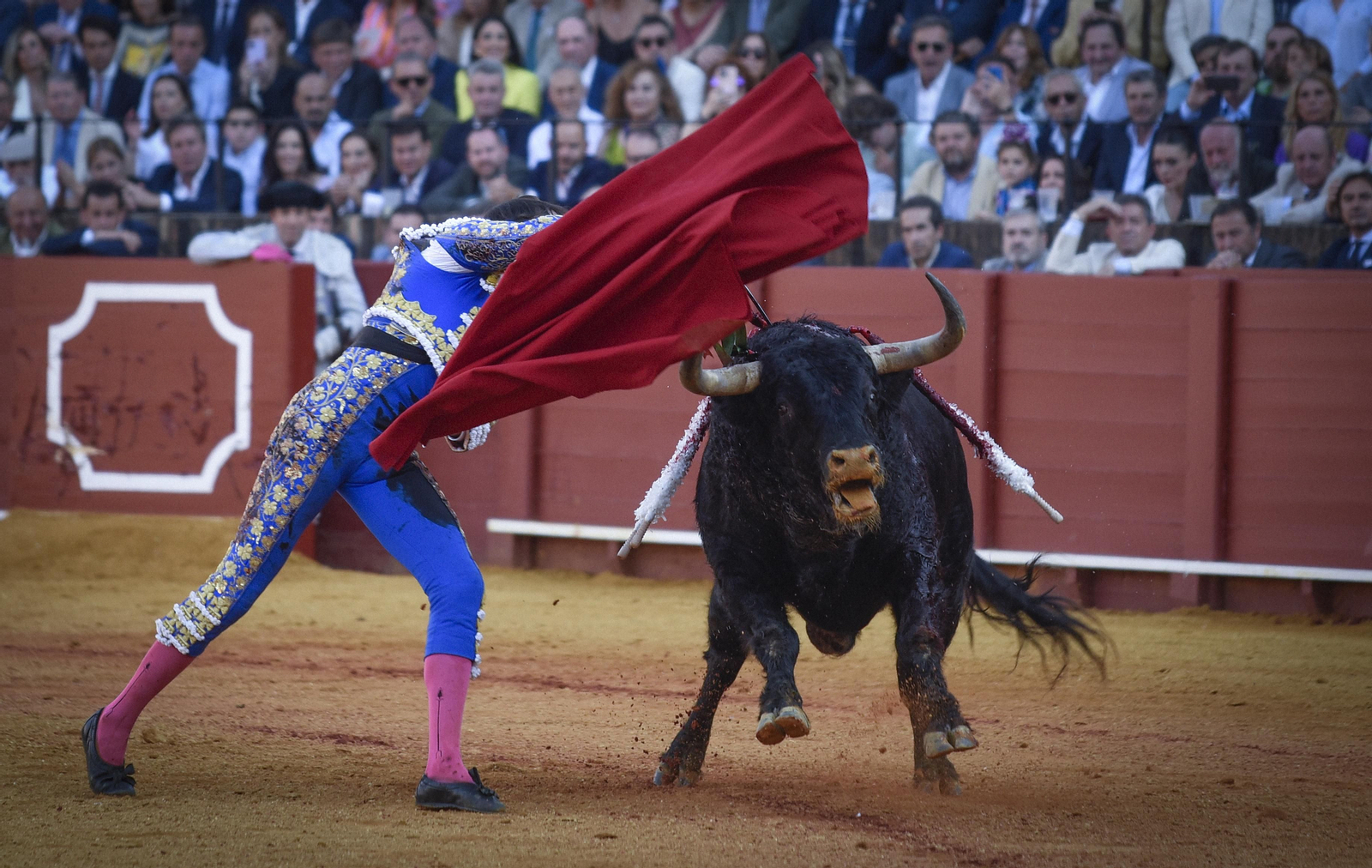 Las mejores imágenes del duodécimo festejo de toros