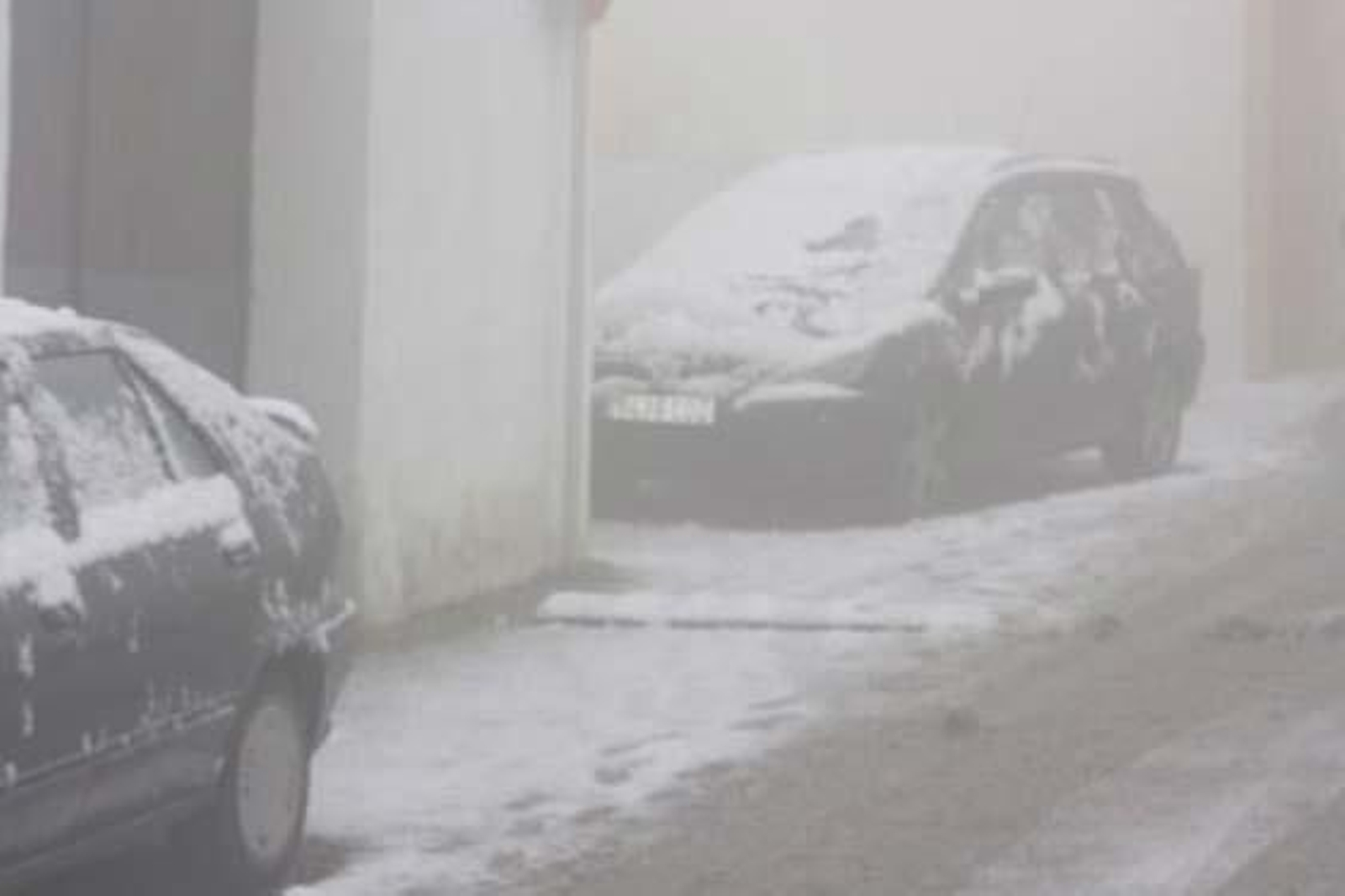 Foto: Carlos Muñoz, Edu, Auxi Nuevo, José Puerto