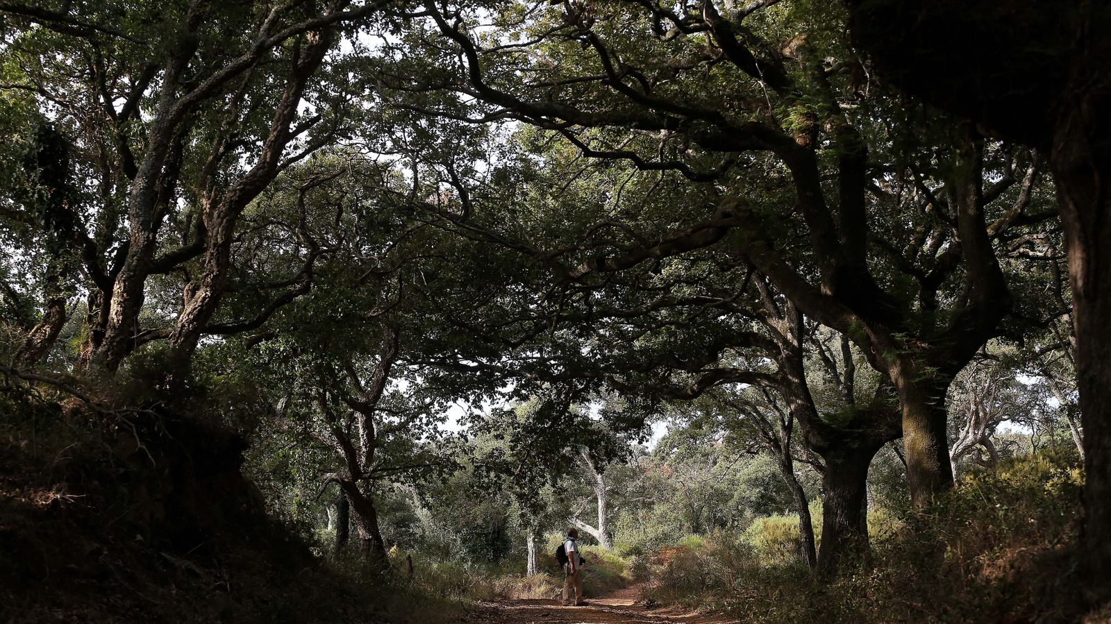 Las mejores fotos de San Carlos del Tiradero