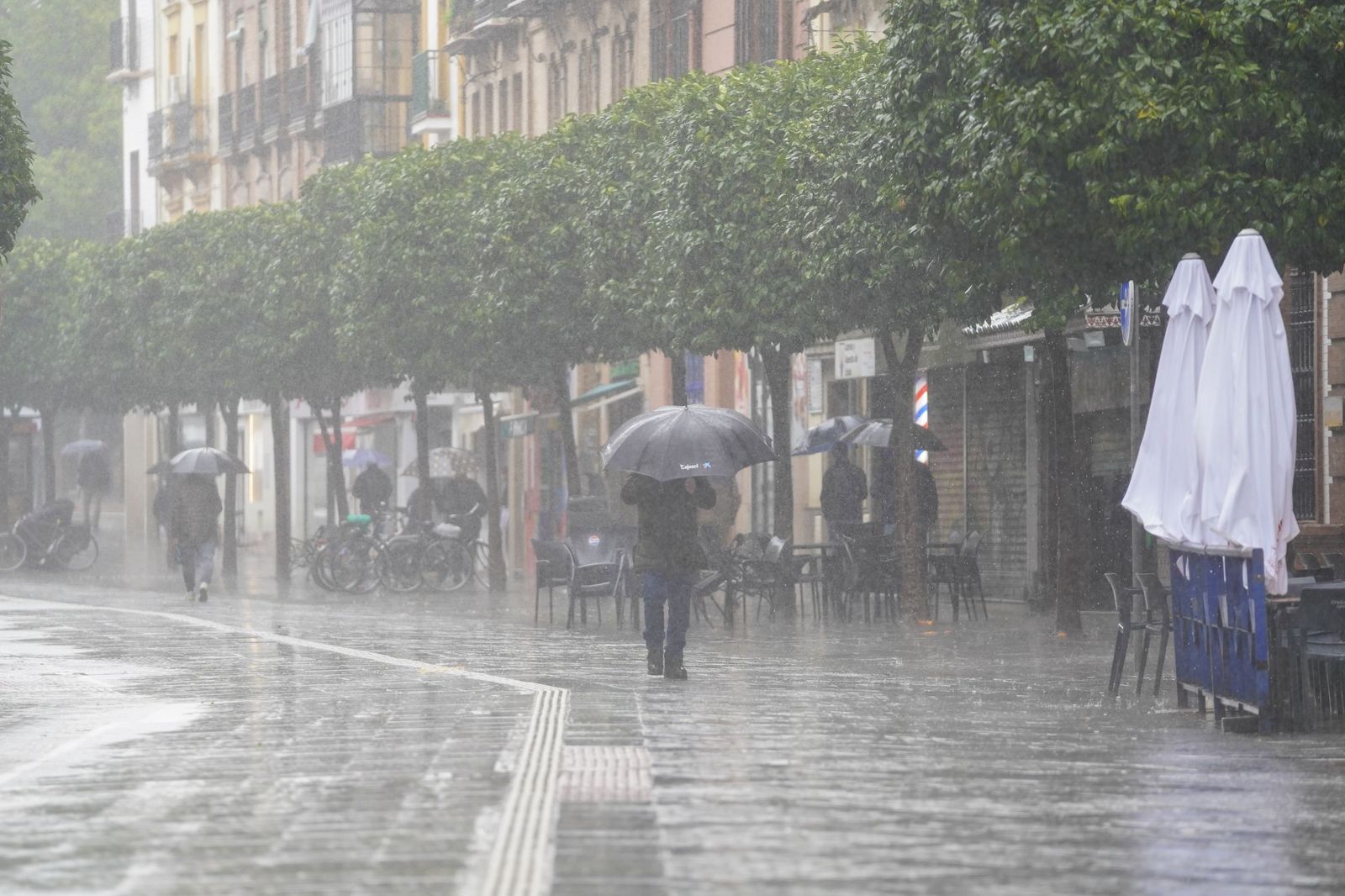 La intensa lluvia en Sevilla al paso de la Borrasca Leonardo en fotos