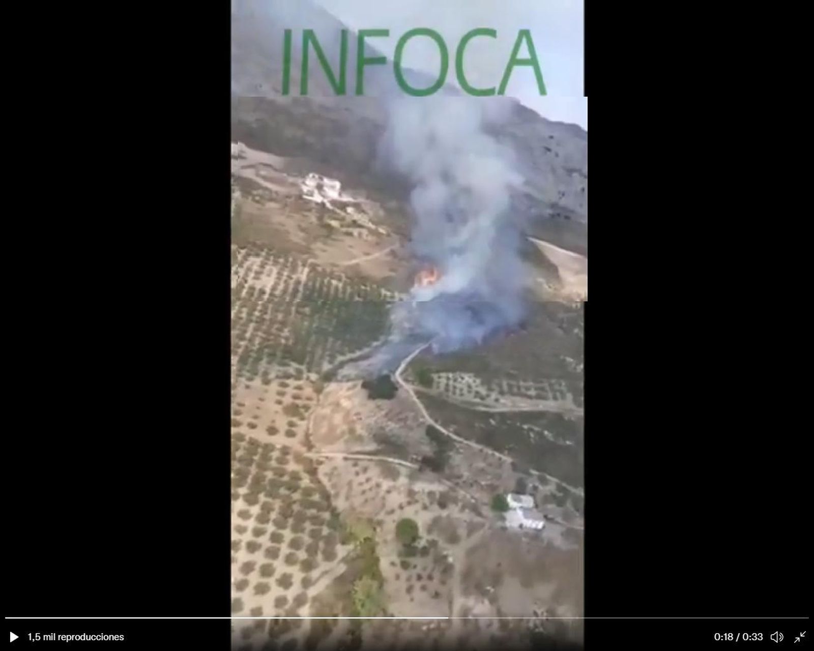 Imagen extraída del vídeo publicado por el Infoca en su cuenta de Twitter.