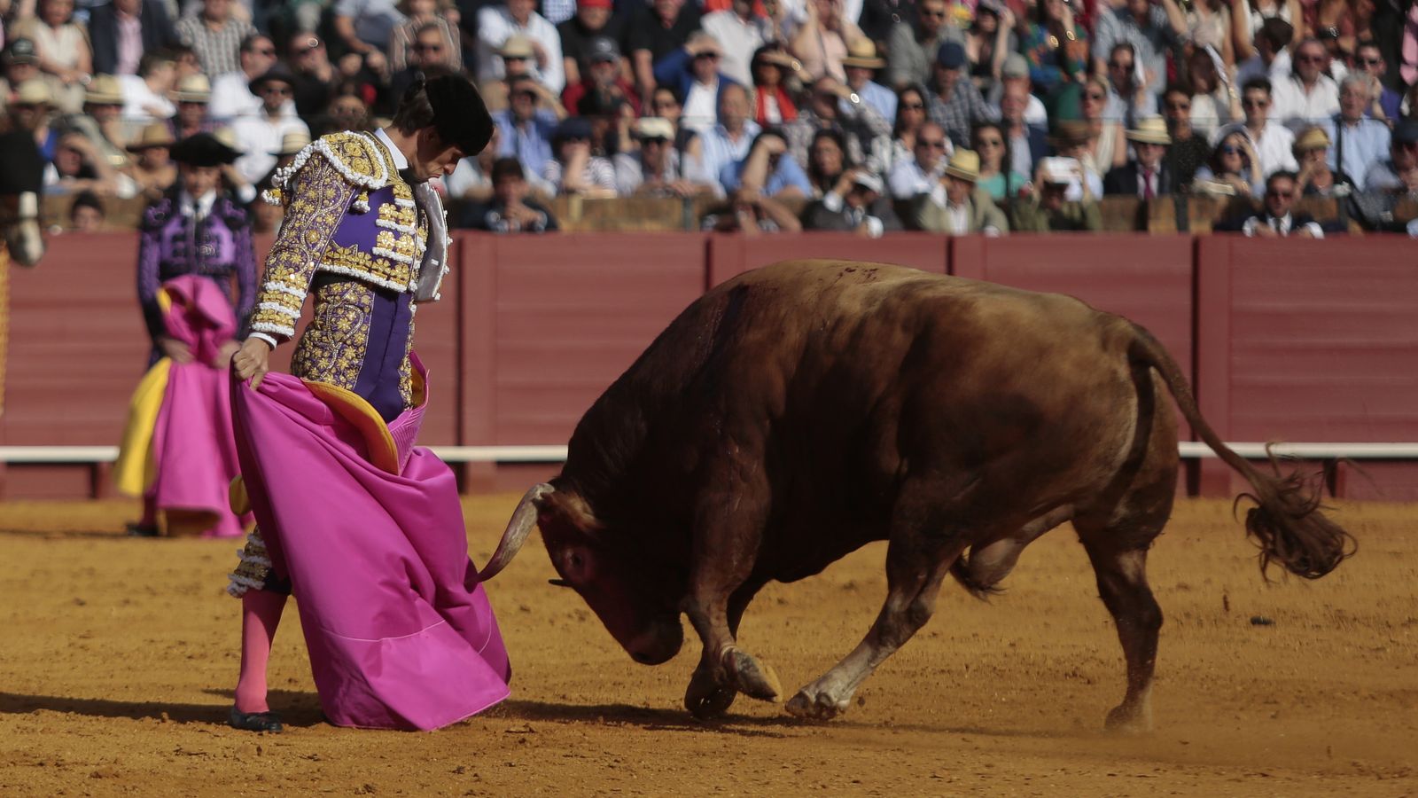 las mejores imágenes de la feria taurina de Sevilla