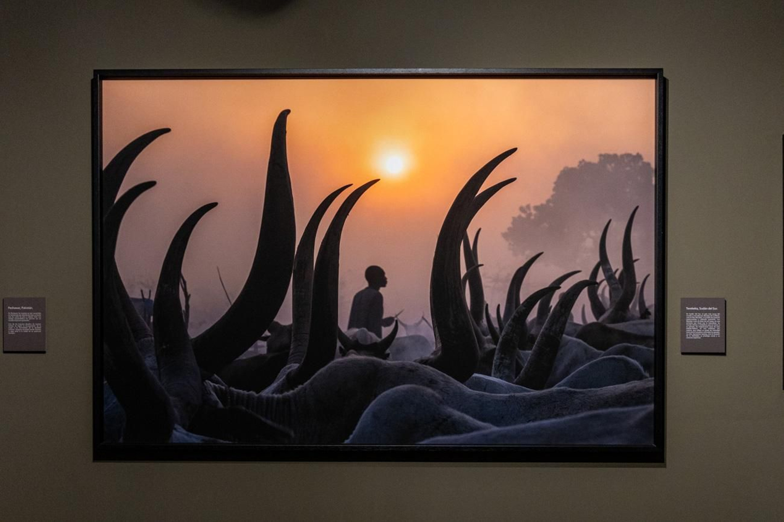 One Health en imágenes: la fotogalería de Katy Gómez que te hará reflexionar sobre la salud global