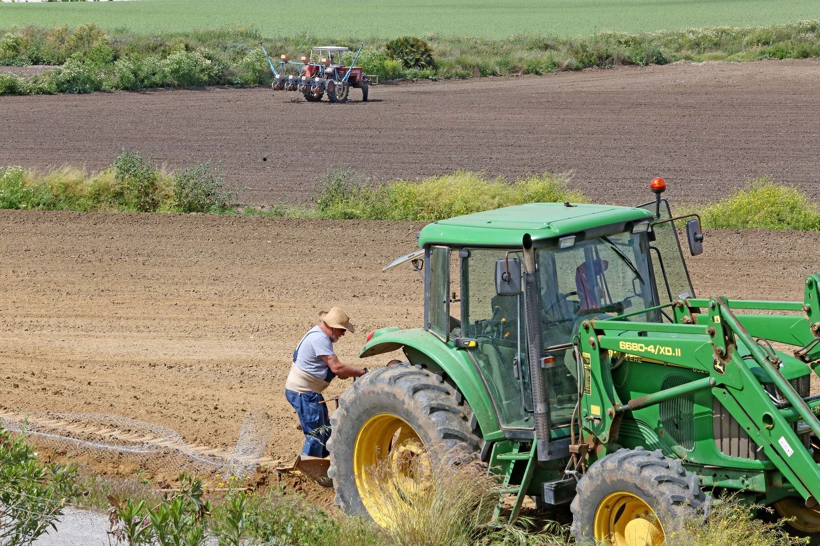 Jornaleros trabajando el campo en el sector agrícola