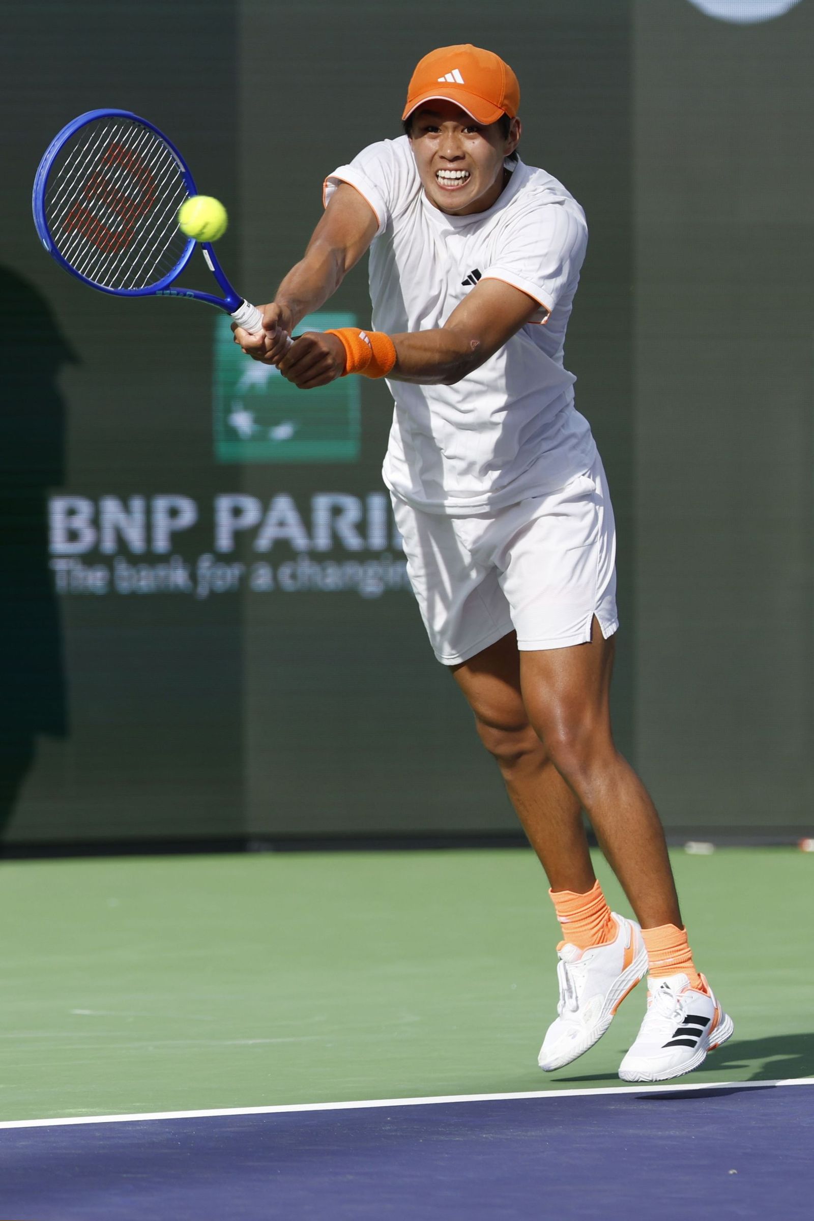 Alejandro Davidovich-Learner Tien, en fotos