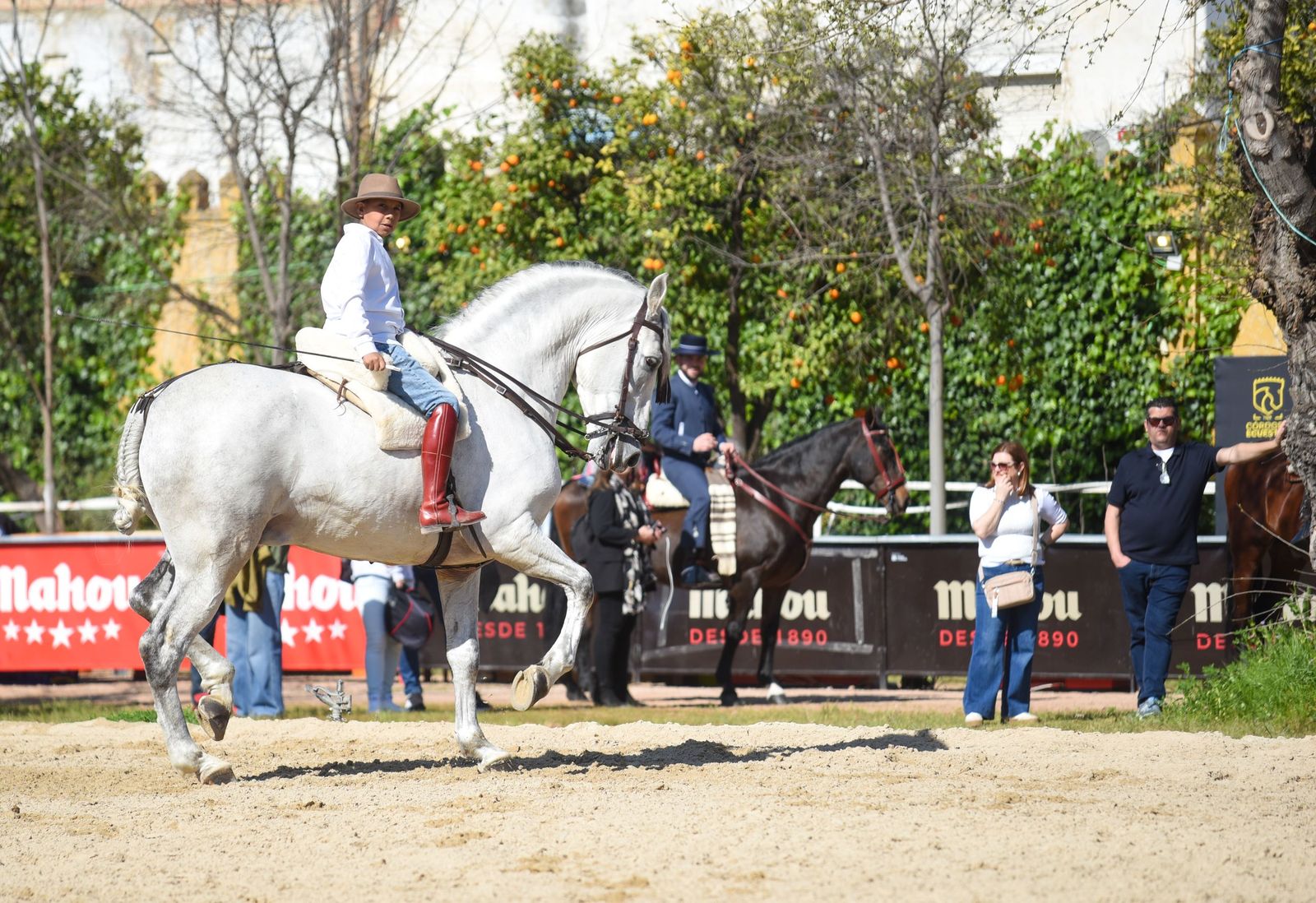 Las mejores imágenes de la Marcha Hípica Córdoba a Caballo del 28F de 2026