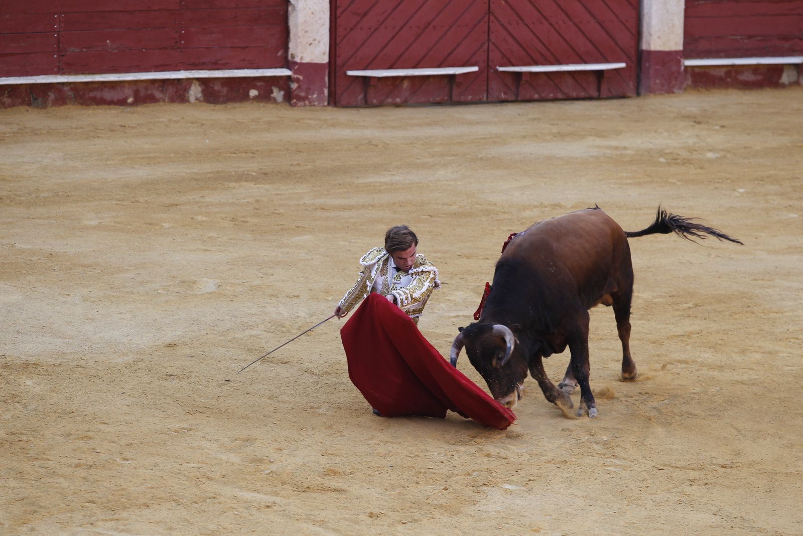 Fotogalería novillada Escuela Taurina de Almería. Feria de Almería 2019