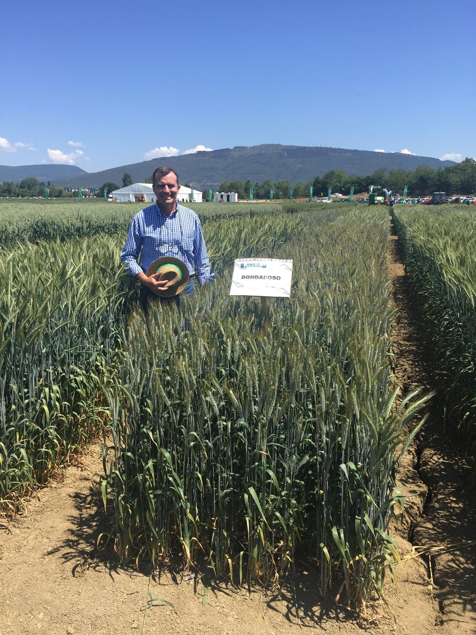Ignacio Solís, en un campo sembrado con una de las variedades de Agrovegetal.