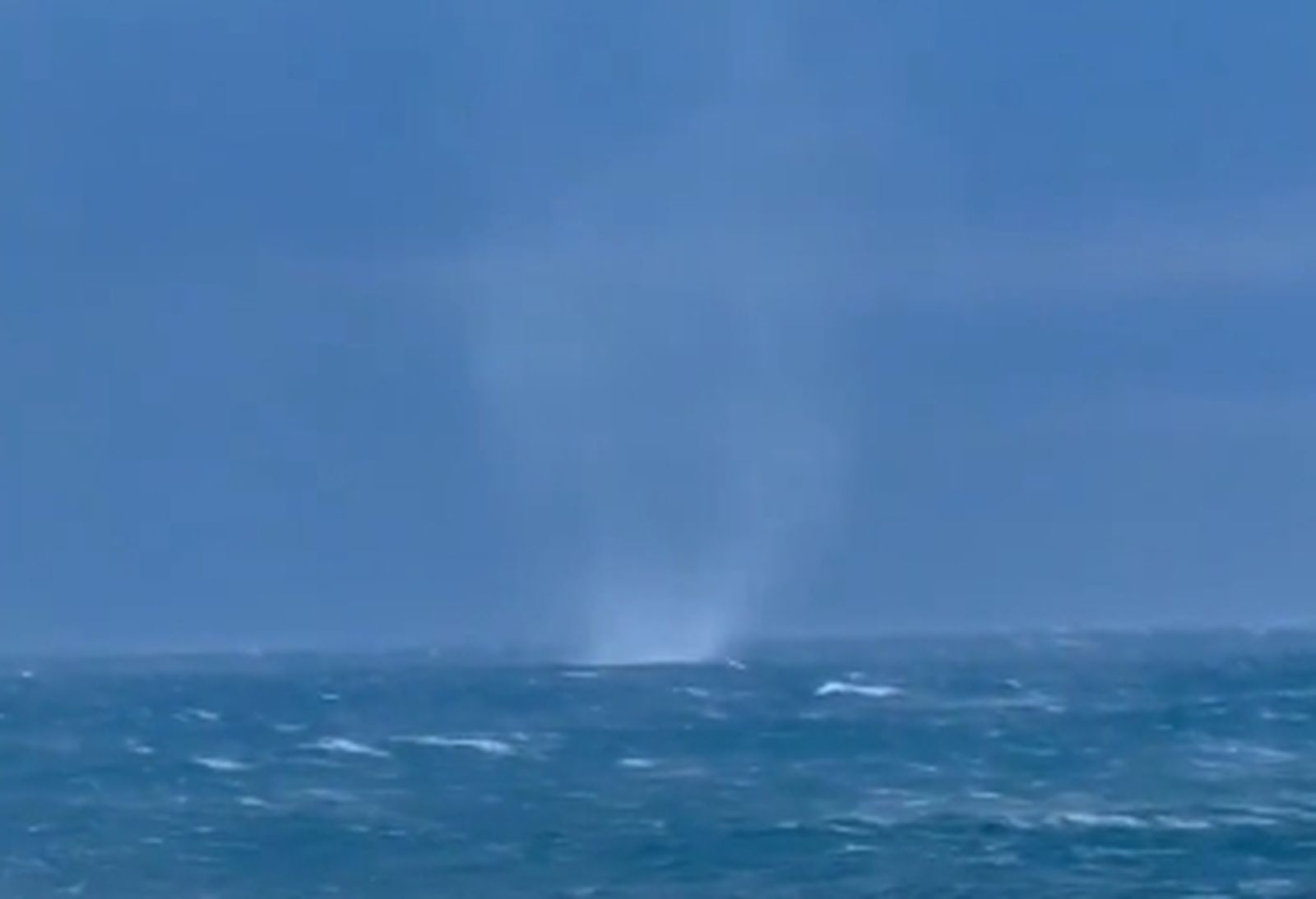 Manga marina en La Línea.