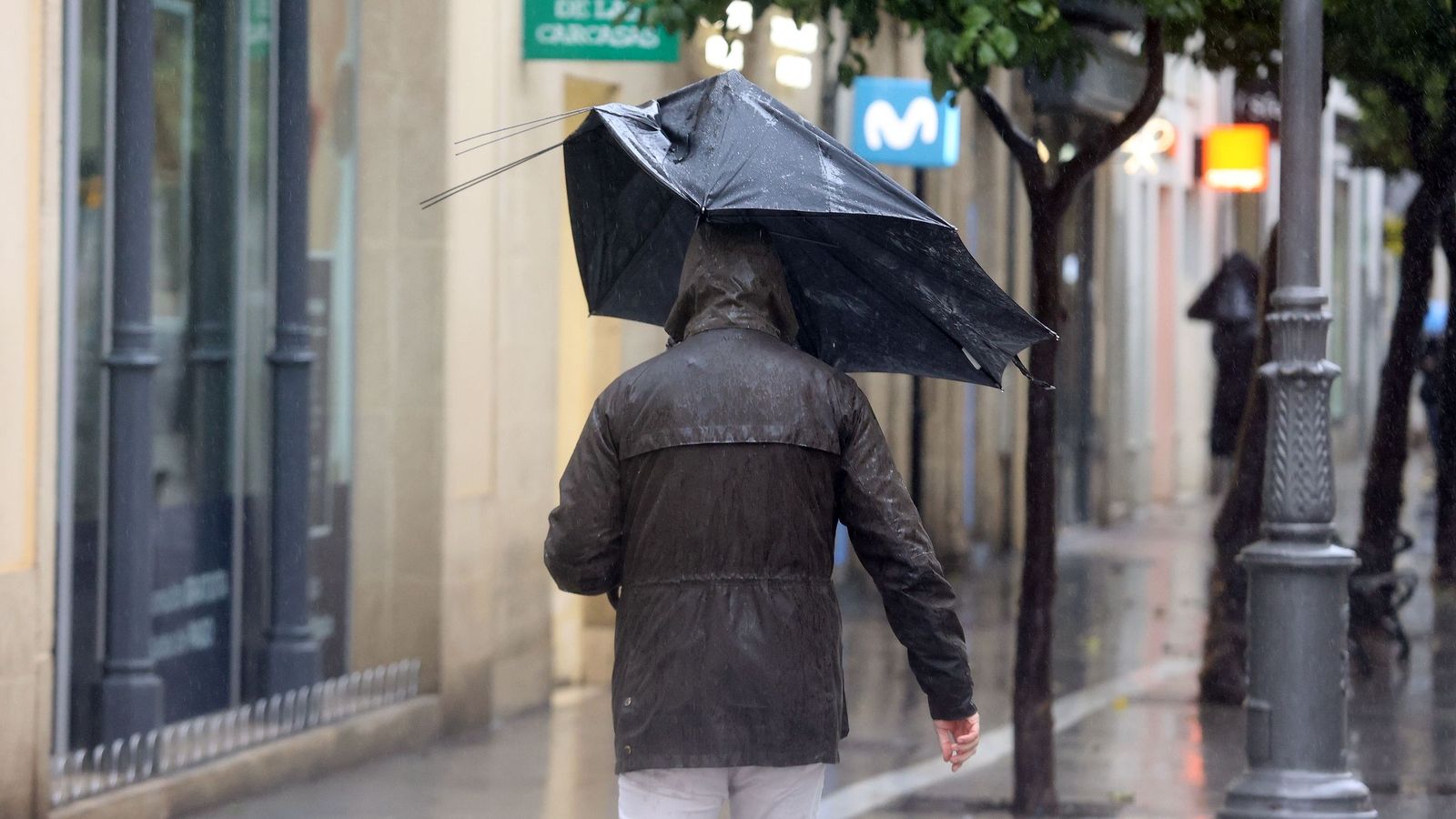 El viento volverá ser excesivamente fuerte en Jerez de la Frontera y su campiña, en aviso naranja por rachas de hasta 90 km/h
