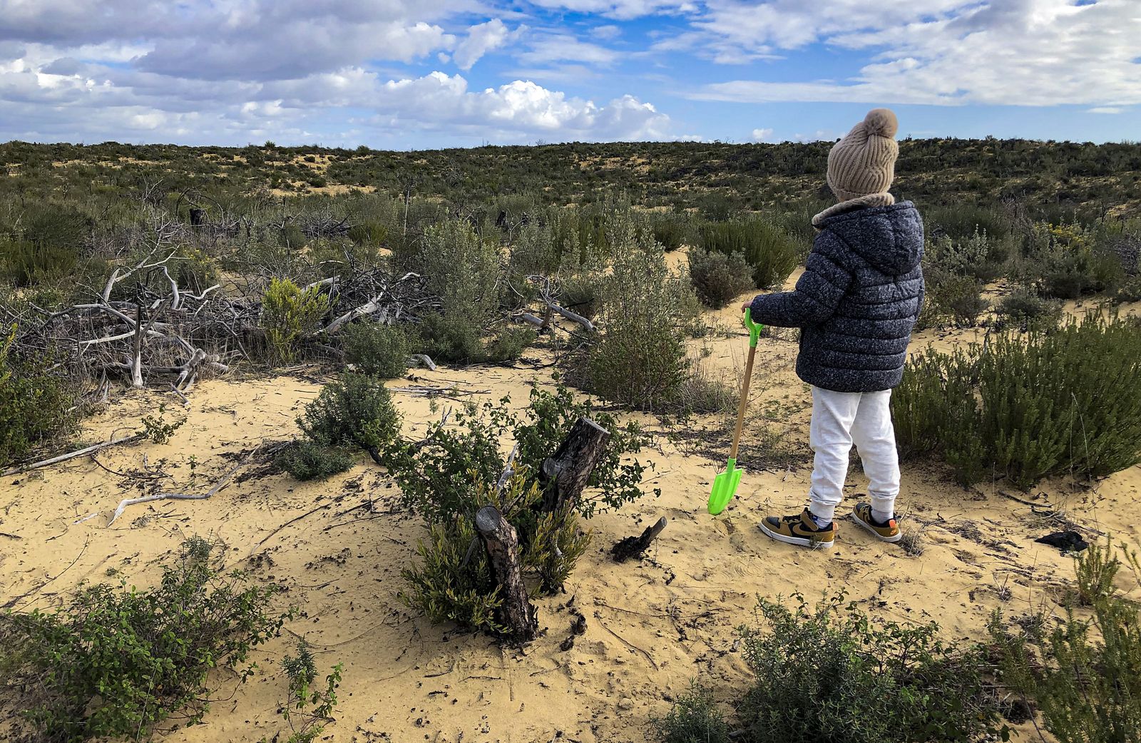 El resurgir de Doñana: tres años después del incendio