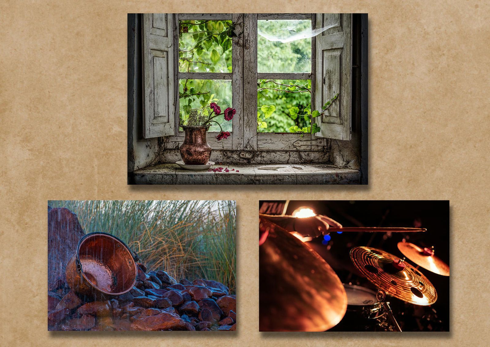 Imágenes galardonadas con los tres primeros premios del concurso fotográfico.