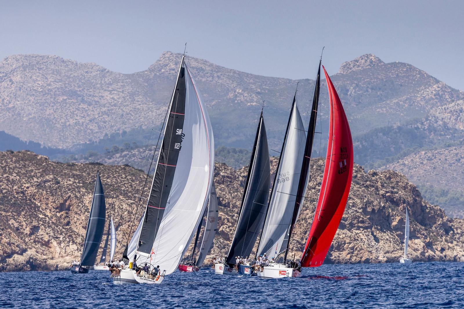 ORCA A Vela Regata (22).jpg
