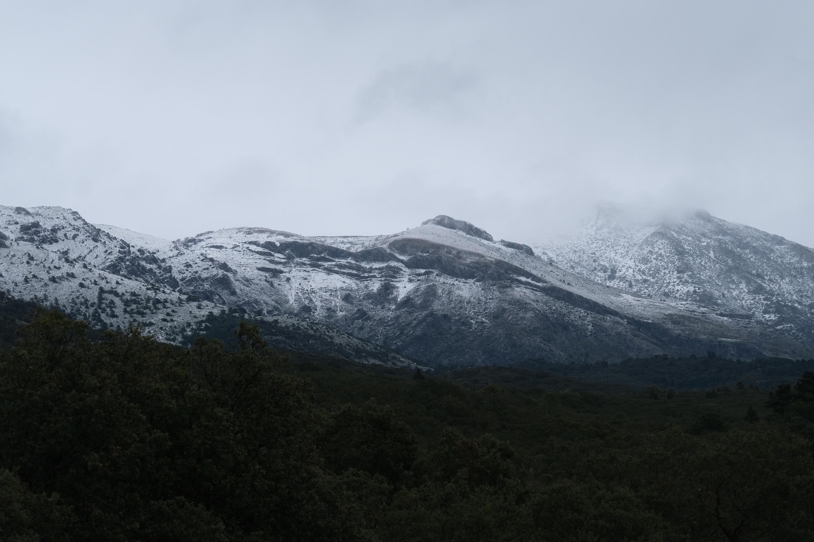 La nueva nevada  en el Parque Nacional Sierra de las Nieves, en fotos