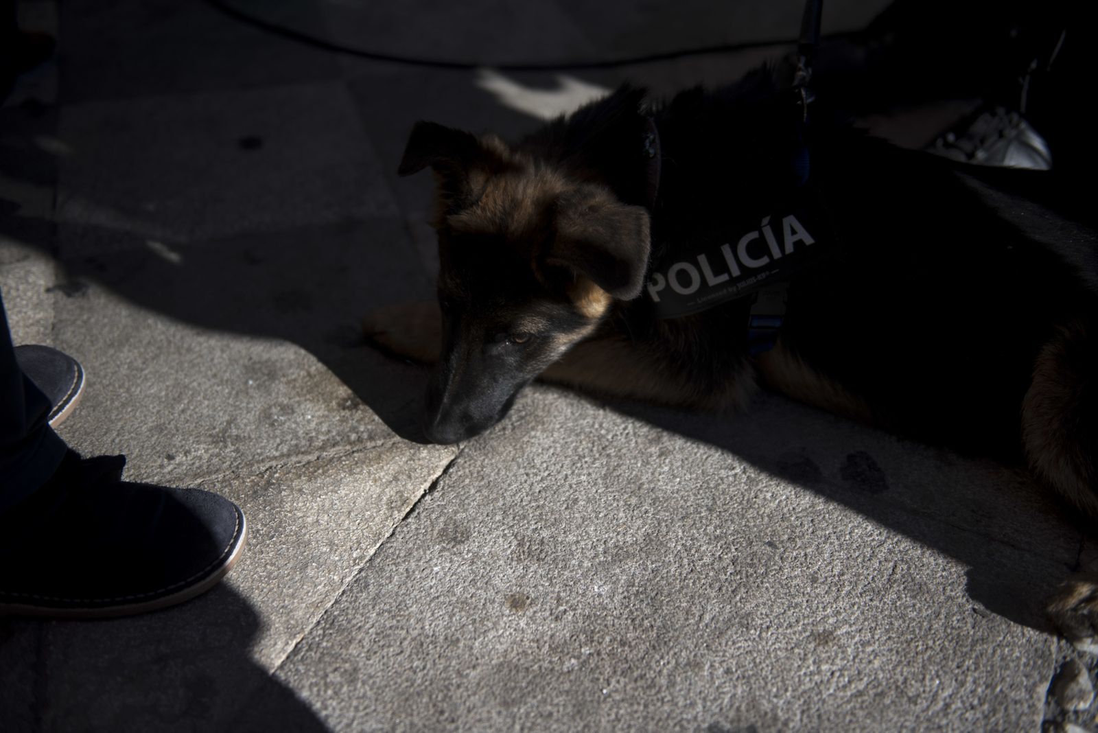 Las imágenes del Día sin coches