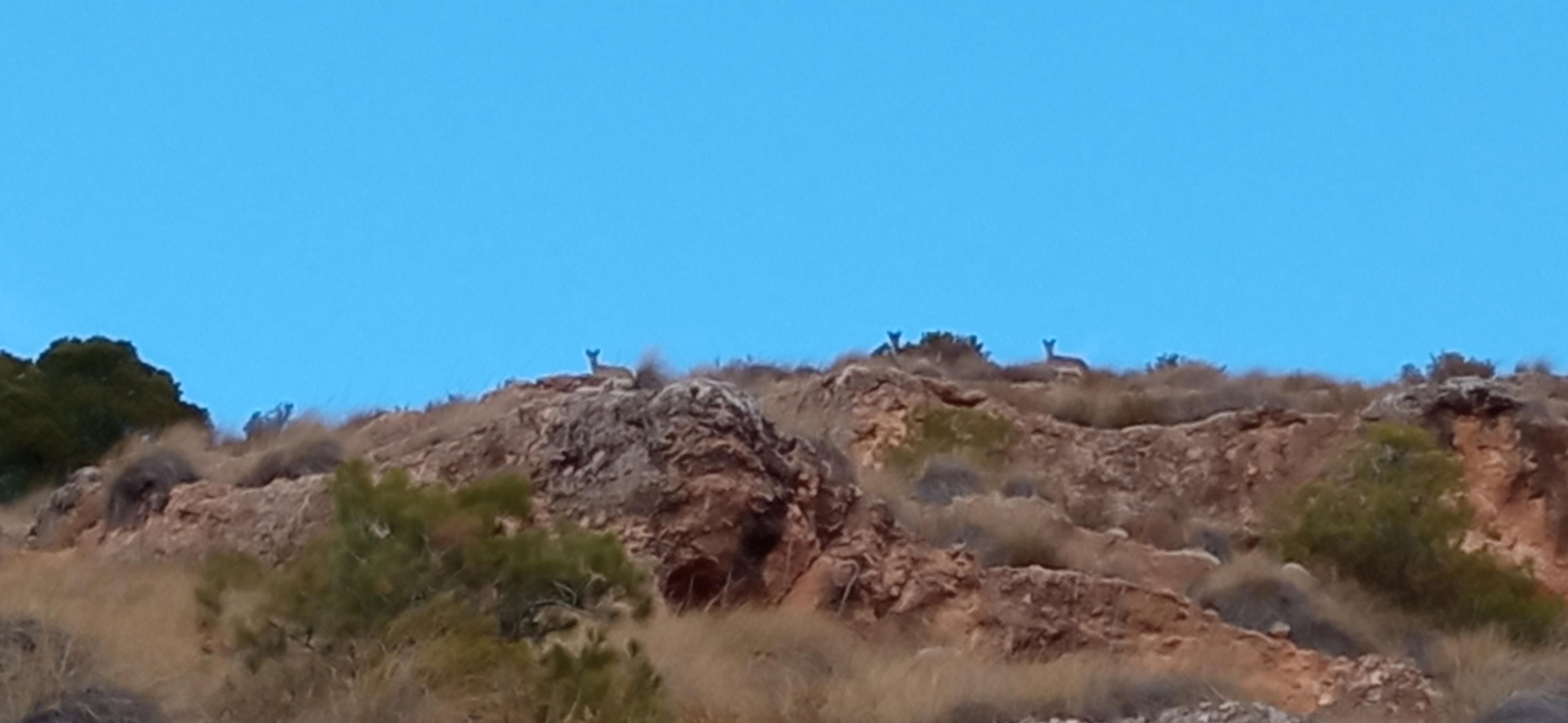 Las imágenes de la ruta Hinojares - Cuenca - Hinojares