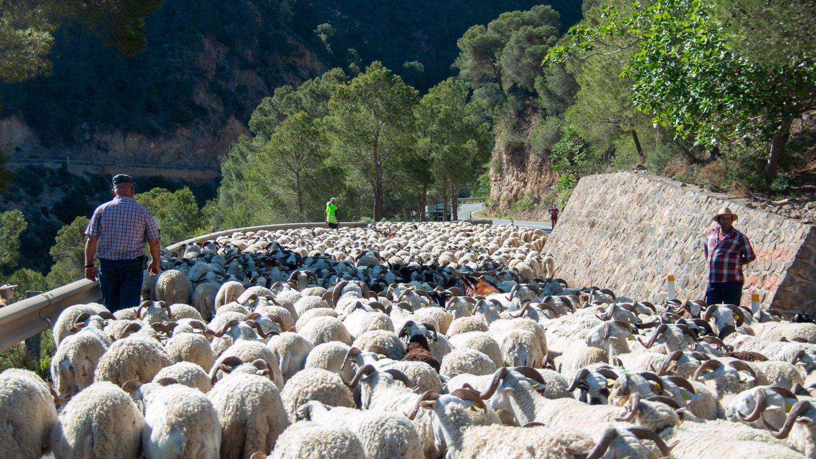 Emplean varias jornadas para hacer el trayecto que separa la Costa de la Alpujarra