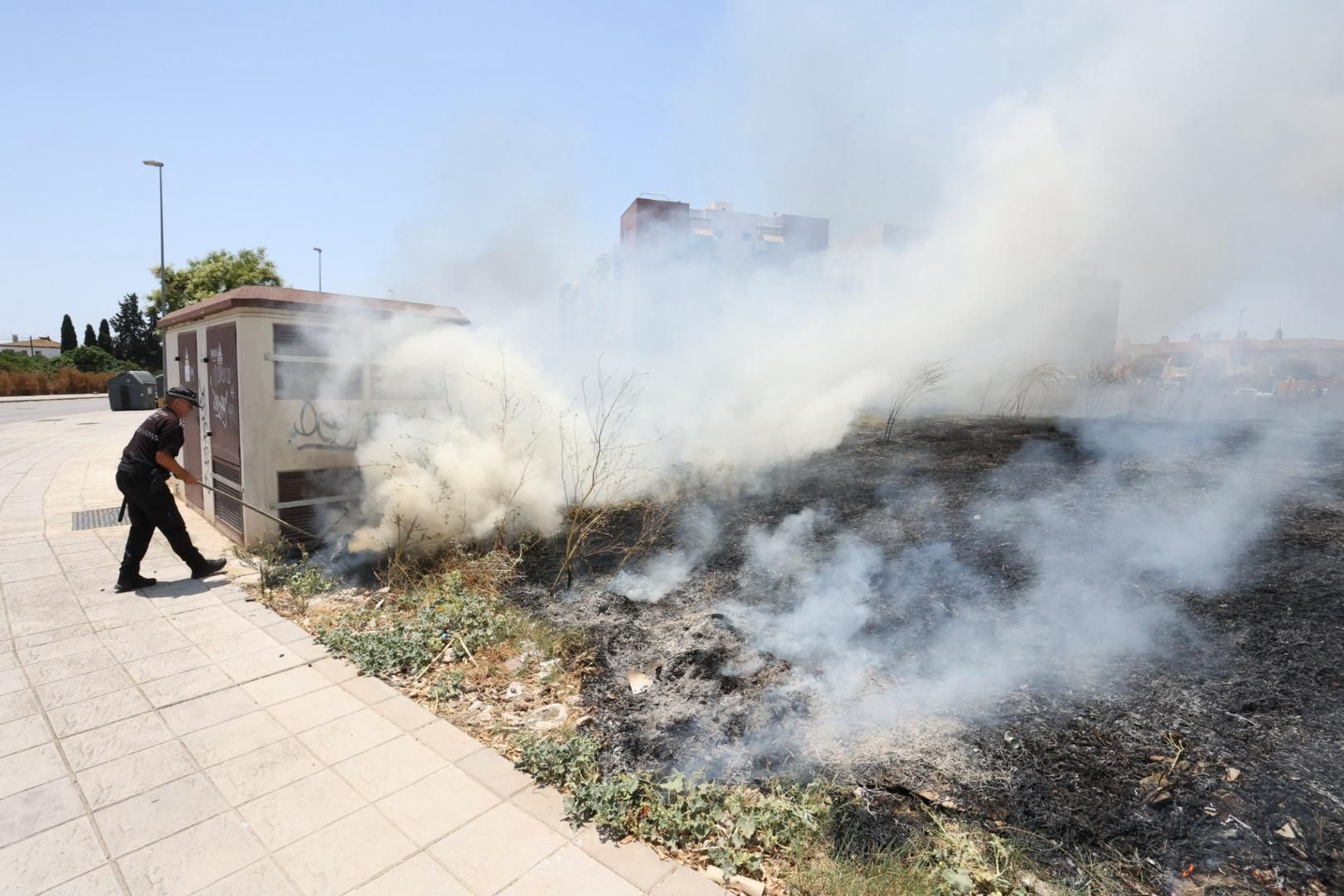Incendio de pastos junto a la avenida de Espera en Jerez