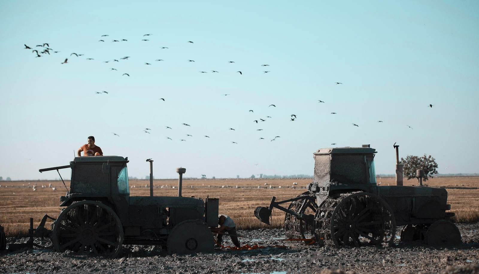 La ruta del arroz, en imágenes