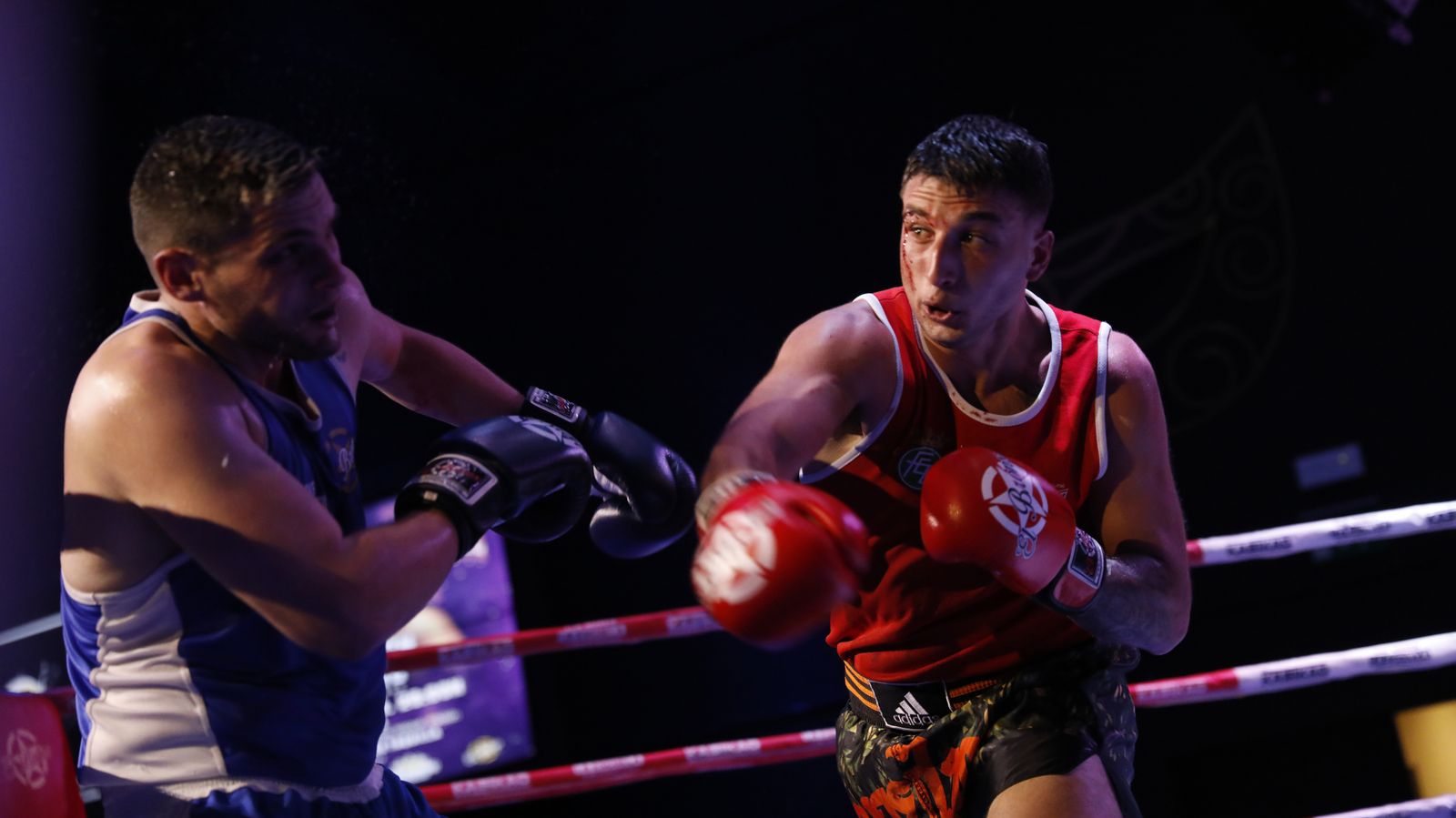 Las fotos de la velada de boxeo en San Roque