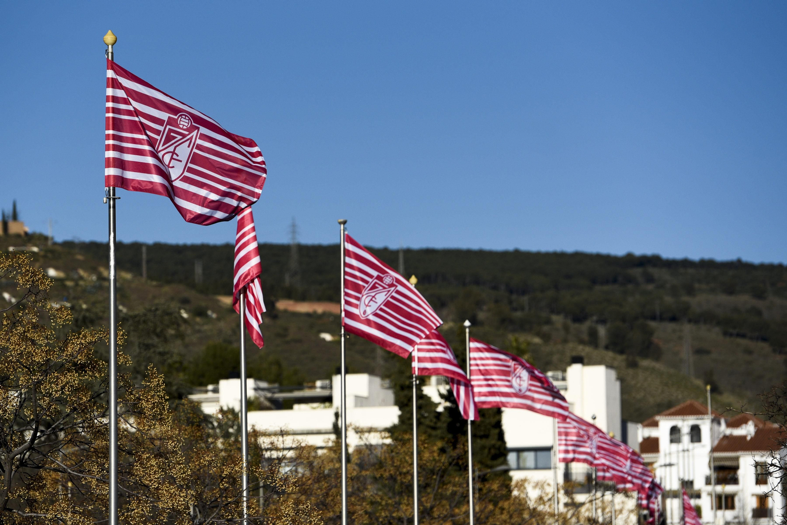 Banderas del Granada ondean al viento,