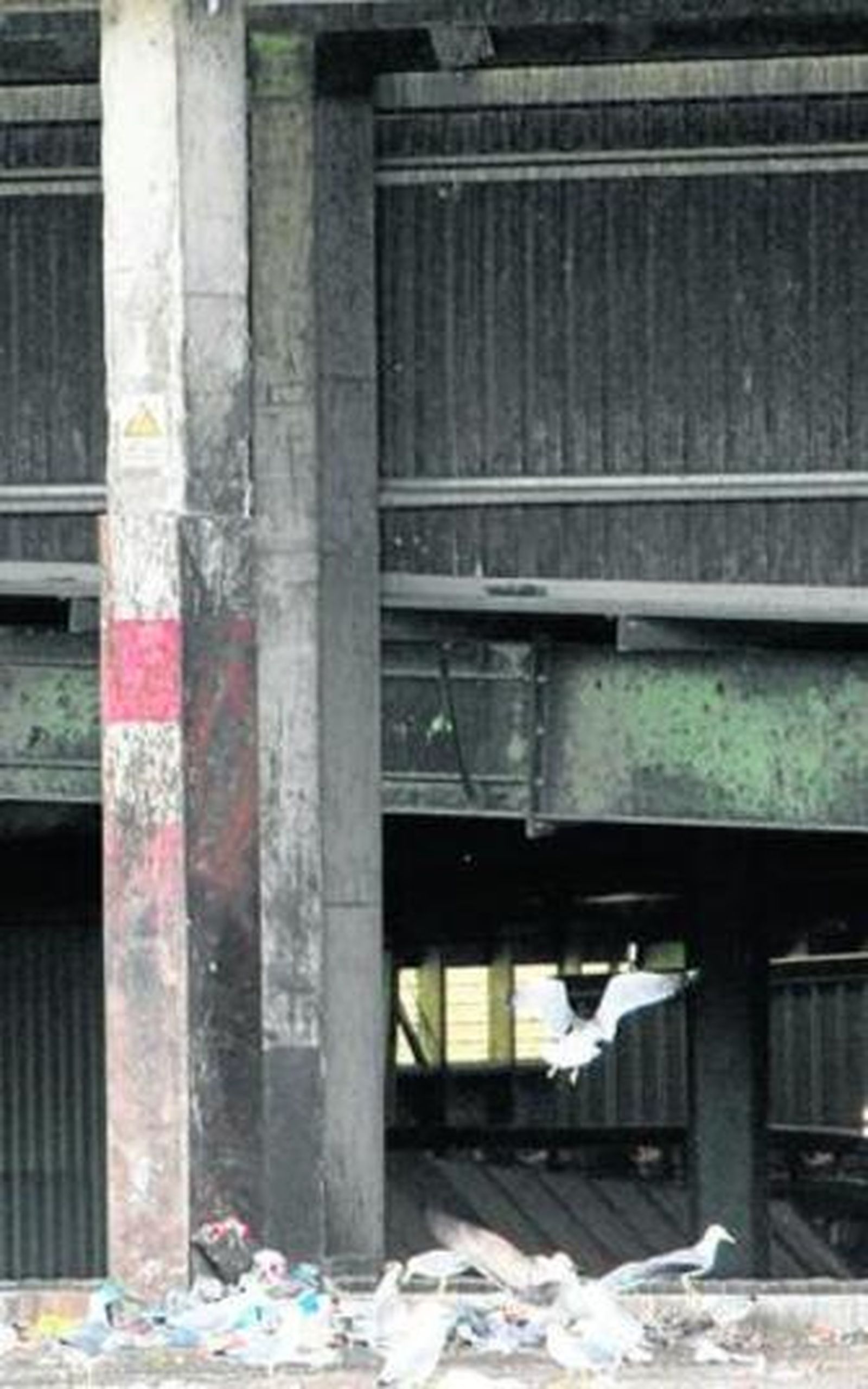 Imagen del lugar donde apareció el cadáver del indigente.