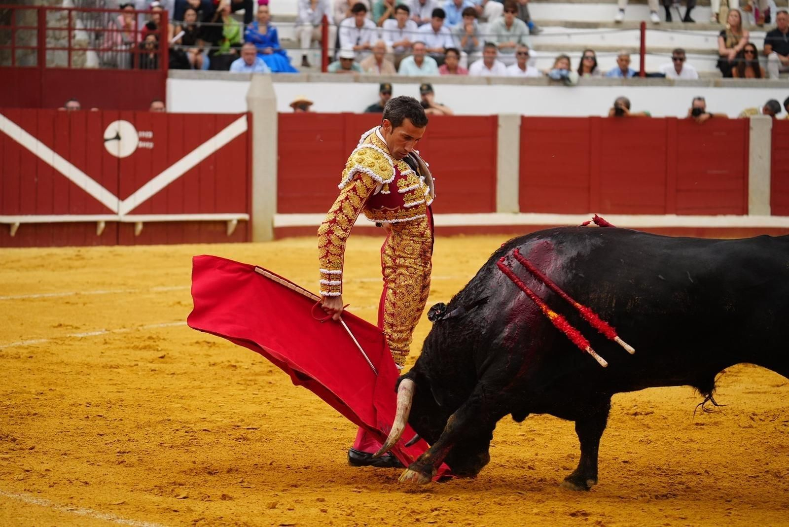 Las mejores imágenes de las corridas de toros de la Feria de Pozoblanco