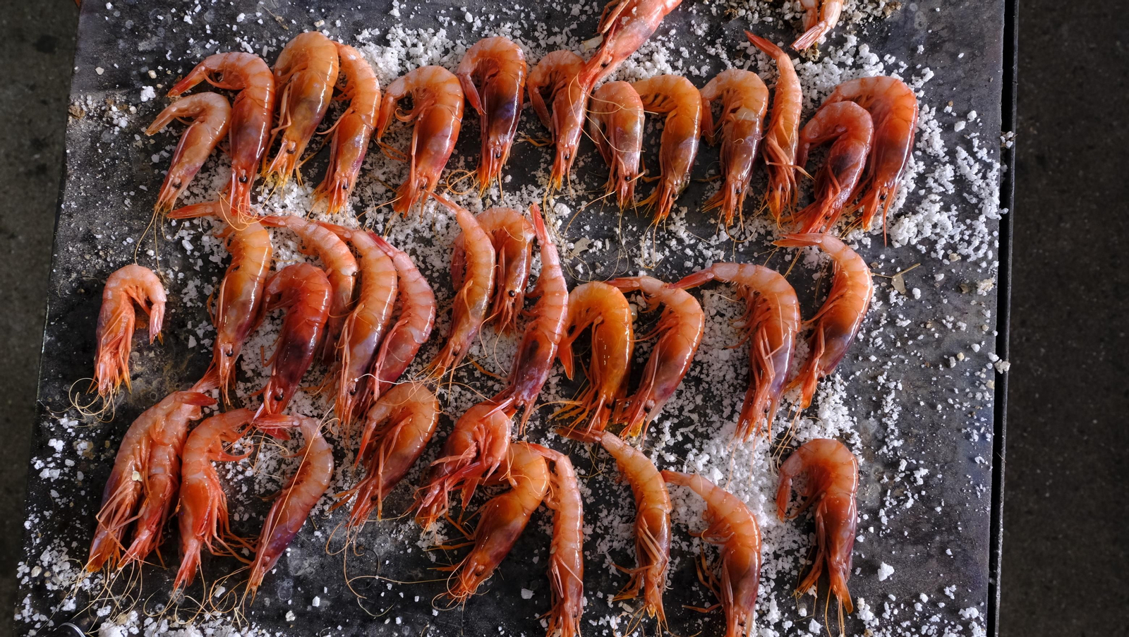 Imágenes de la Feria de la Gamba Roja de Garrucha