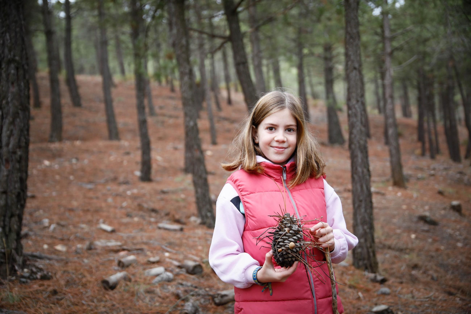 La ruta recolectora de setas en Abla por las XIX Jornadas Micológicas, en imágenes