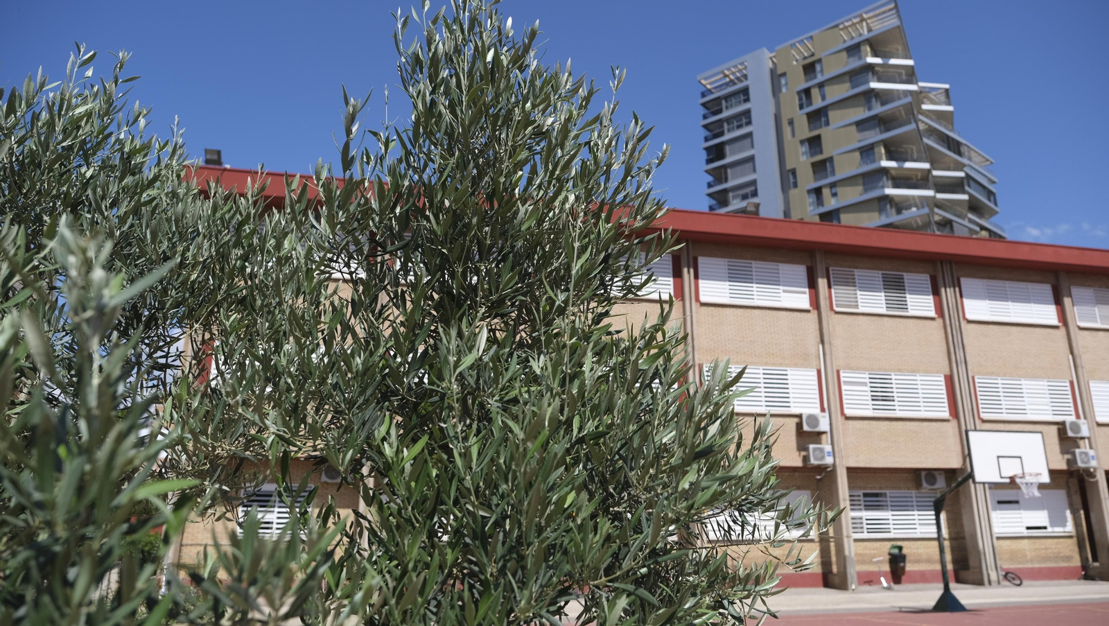 Proyecto Aulas Verdes Abiertas en el Colegio Mar Mediterráneo, de Almería