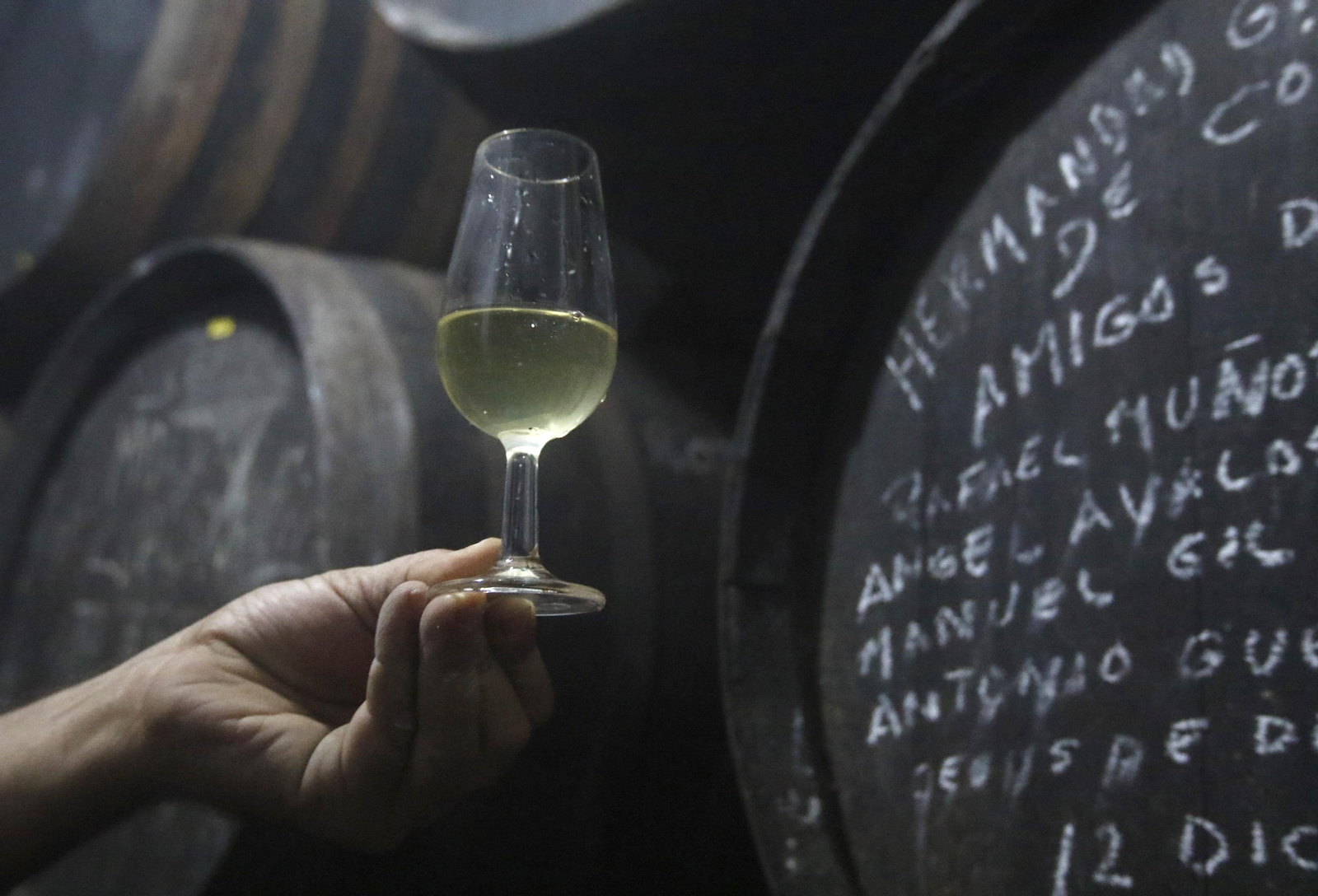 La vendimia en Montilla-Moriles, en fotografías