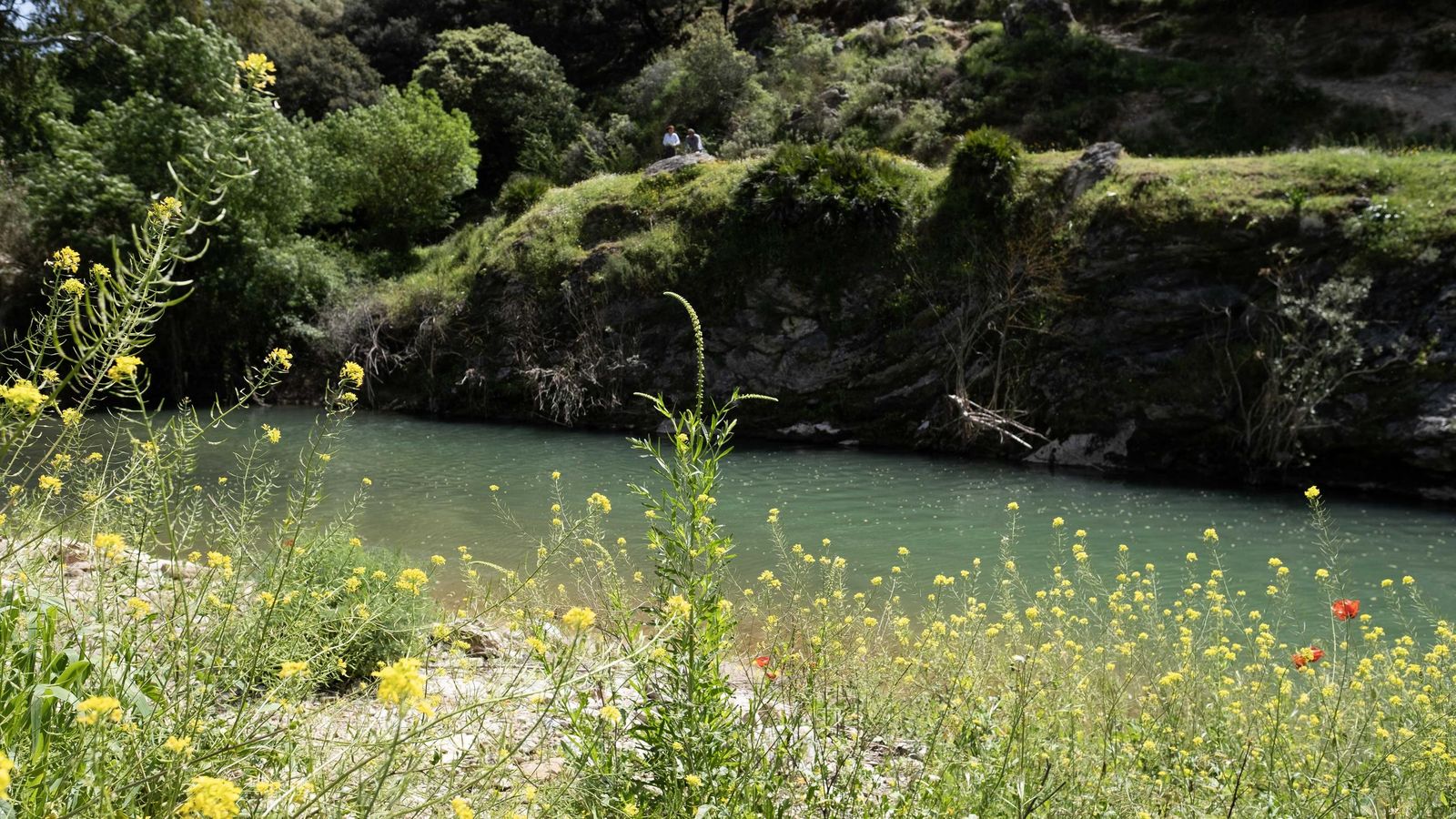 Río Guadiaro a su paso por la Estación de Benaoján.