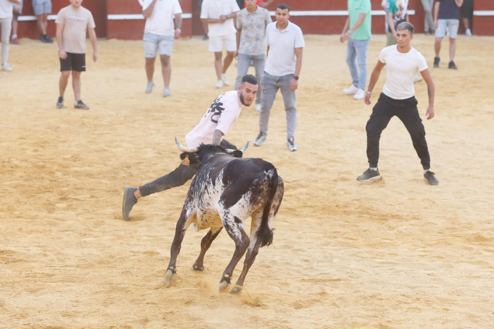 Fotos del Toro del Aguardiente en San Roque