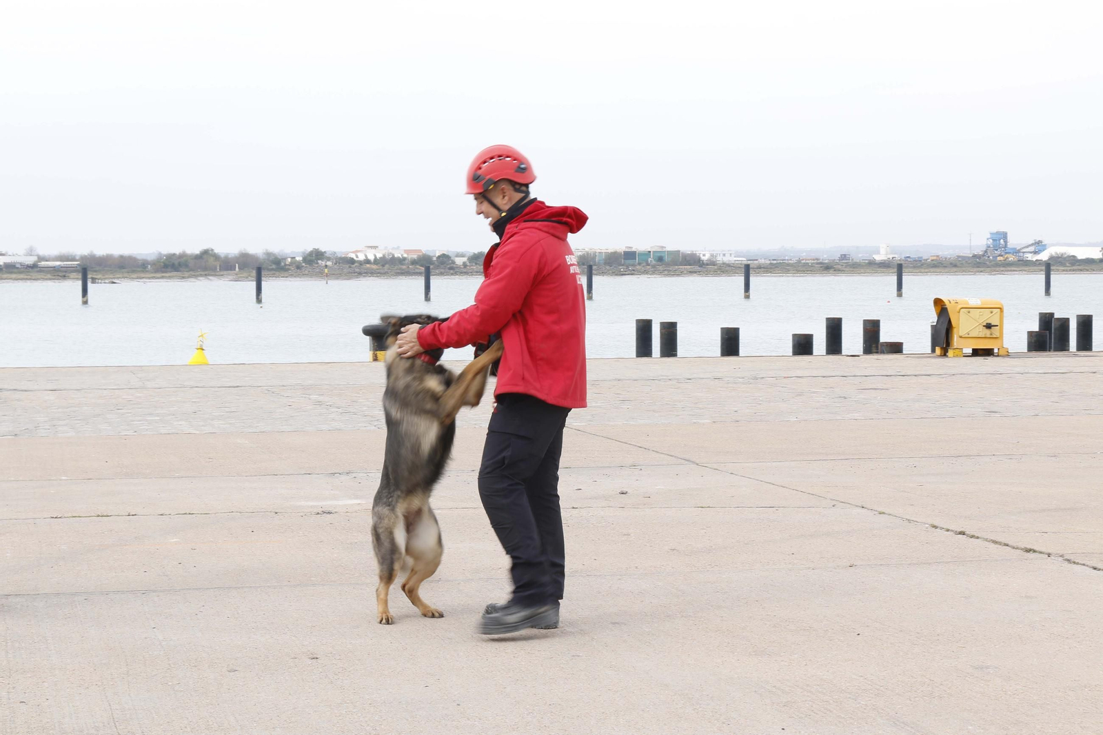 Práctica de la Unidad Canina y el Equipo de Intervención de Bomberos Unidos Sin Fronteras, en imágenes