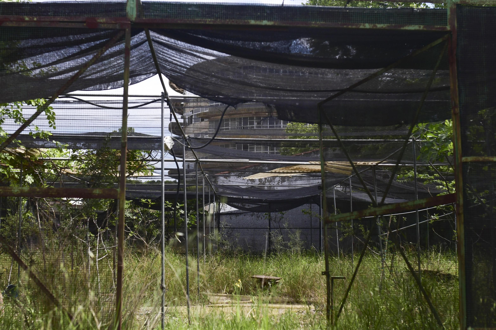 Celebración del 50º Aniversario de ETSIAM