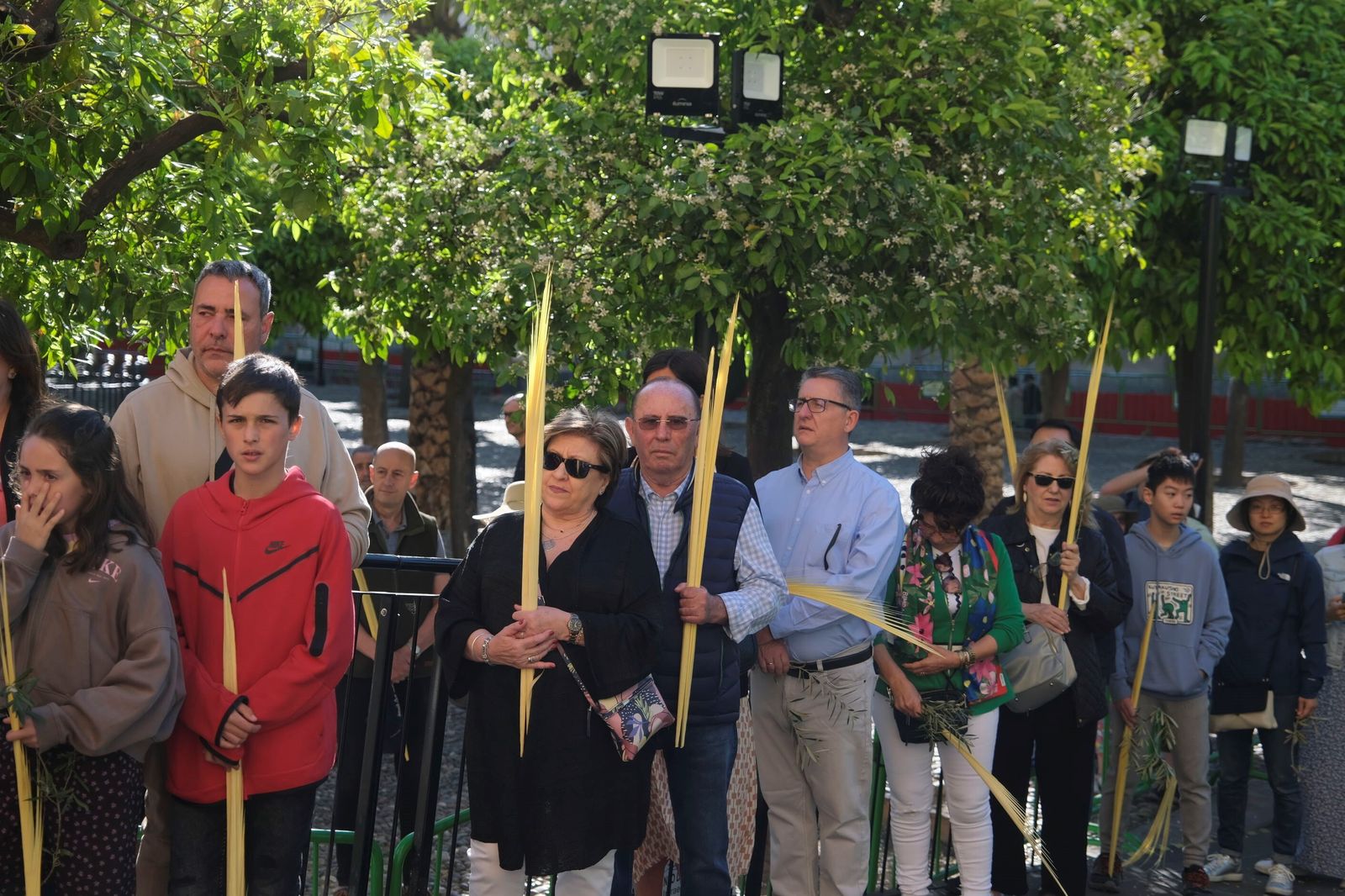 Domingo de Ramos en Córdoba 2023: la misa de la bendición de las palmas en la Catedral, en imágenes