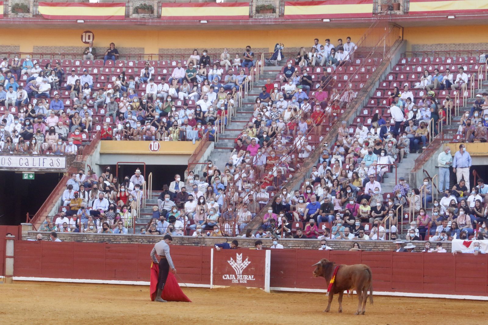 La becerrada del Círculo Taurino de Córdoba en el Coso de los Califas, en fotos