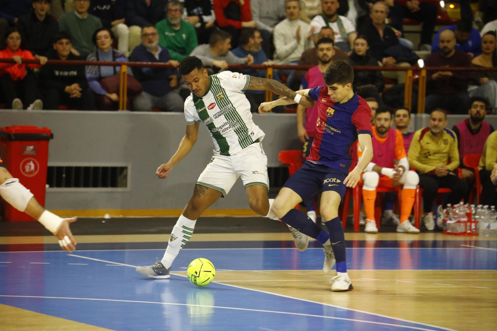 Las mejores fotos del ambiente en Vista Alegre para el Córdoba Futsal - Barça