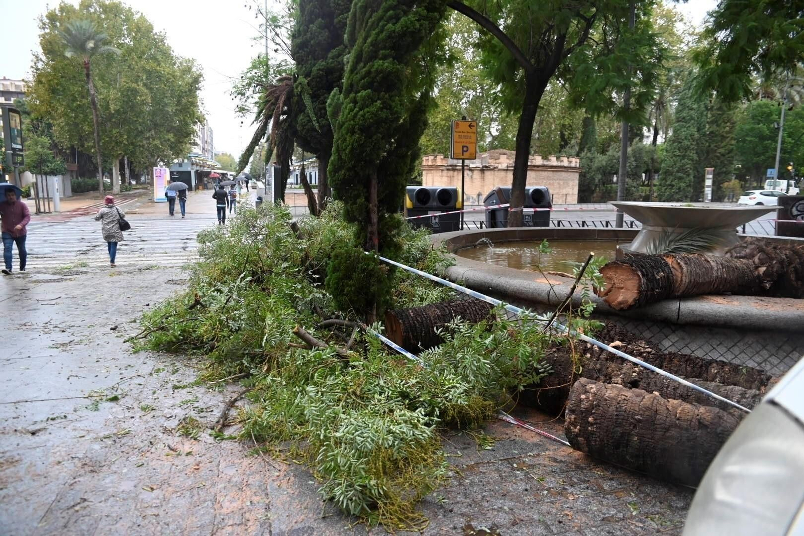 El paso de la borrasca Aline por Córdoba, en imágenes