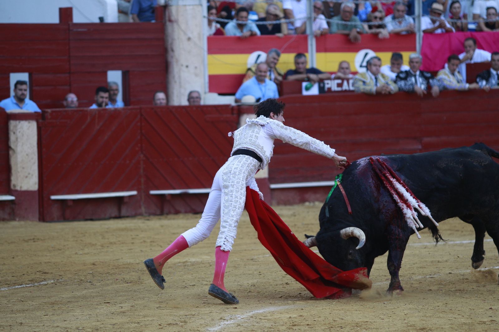 Imágenes del triunfo del torero almeriense Jorge Martínez el día de su alternativa