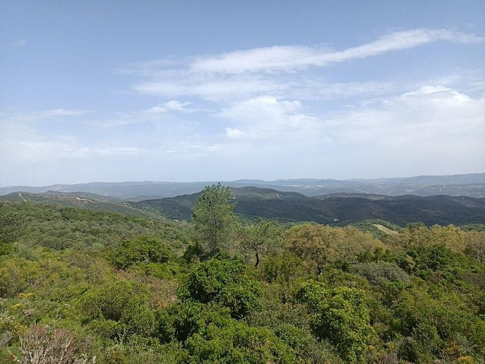 Las fotos de la ruta circular entre Aracena y Corteconcepción
