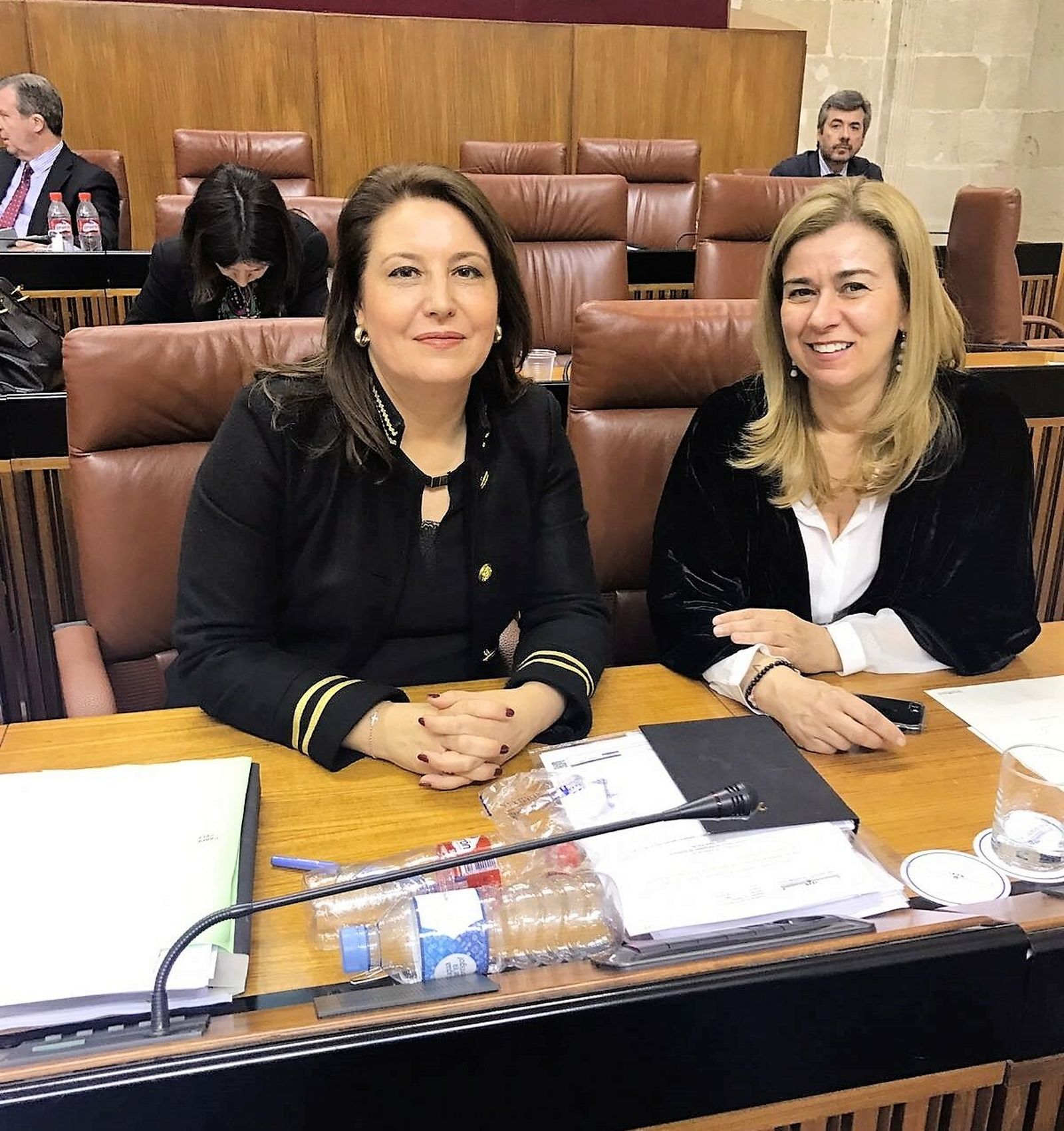 Carmen Crespo, en el Parlamento andaluz.