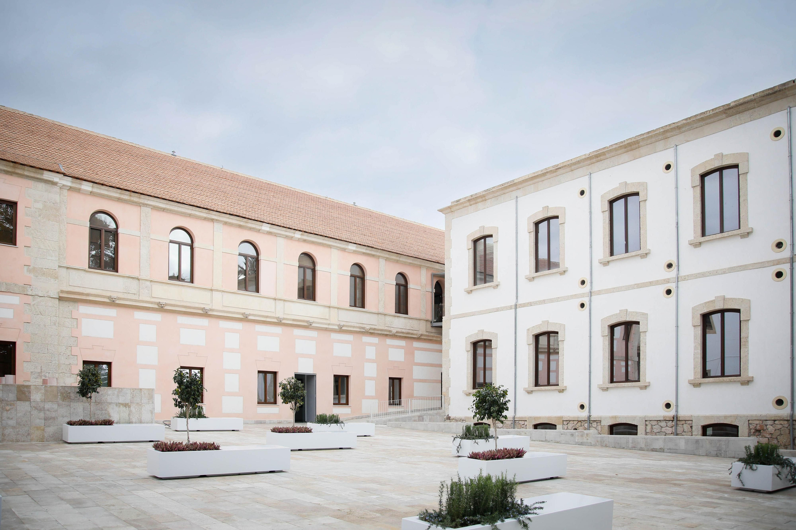 Imágenes de la entrevista realizada al director del Museo del Realismo Español Contemporáneo MUREC